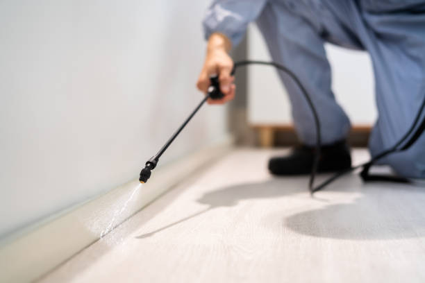 Licensed Mosquito Control service in Appomattox, VA - Show Me Pest Control