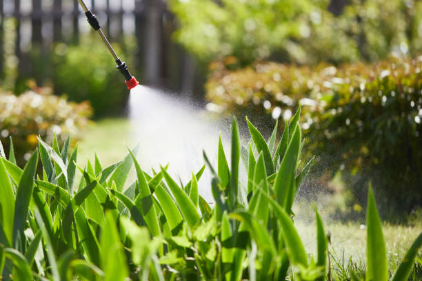 24/7 Emergency Mosquito Control experts in Appomattox, VA
